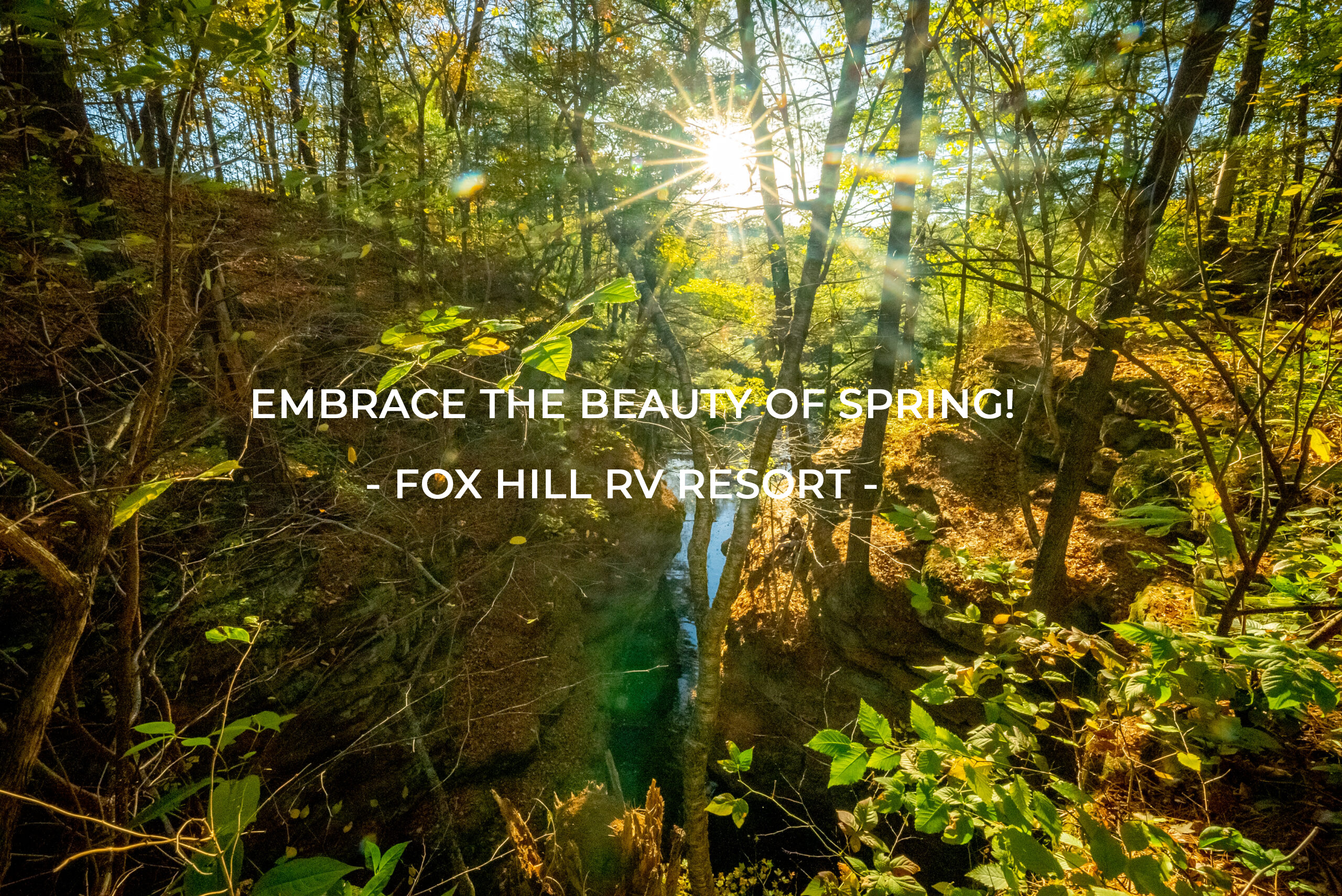 EMBRACE THE BEAUTY OF SPRING! ---- APRIL 24TH - 27TH